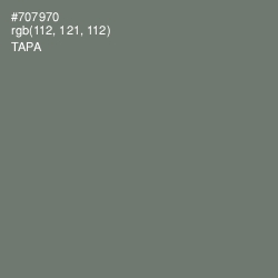 #707970 - Tapa Color Image