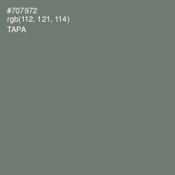 #707972 - Tapa Color Image