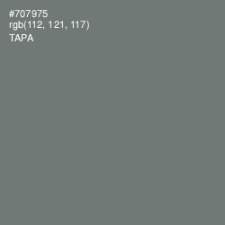 #707975 - Tapa Color Image