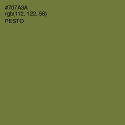 #707A3A - Pesto Color Image