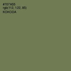 #707A55 - Kokoda Color Image