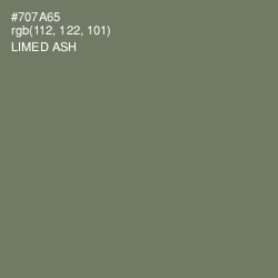 #707A65 - Limed Ash Color Image