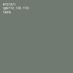 #707A71 - Tapa Color Image