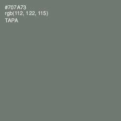 #707A73 - Tapa Color Image