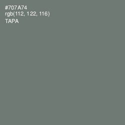 #707A74 - Tapa Color Image