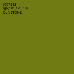 #707B13 - Olivetone Color Image