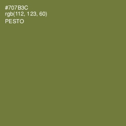 #707B3C - Pesto Color Image