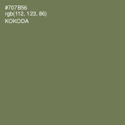 #707B56 - Kokoda Color Image