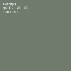 #707B6D - Limed Ash Color Image