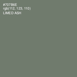 #707B6E - Limed Ash Color Image