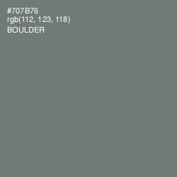#707B76 - Boulder Color Image