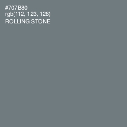 #707B80 - Rolling Stone Color Image