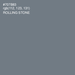 #707B83 - Rolling Stone Color Image