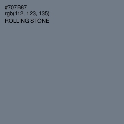 #707B87 - Rolling Stone Color Image