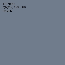 #707B8C - Raven Color Image