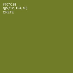 #707C28 - Crete Color Image