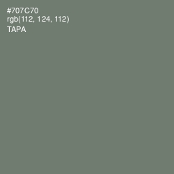 #707C70 - Tapa Color Image