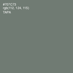 #707C73 - Tapa Color Image