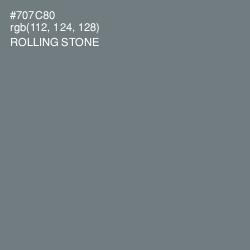 #707C80 - Rolling Stone Color Image