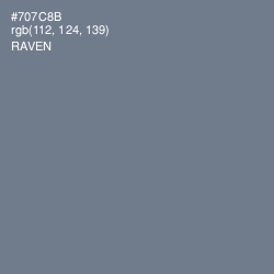#707C8B - Raven Color Image