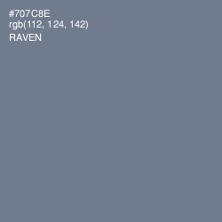 #707C8E - Raven Color Image