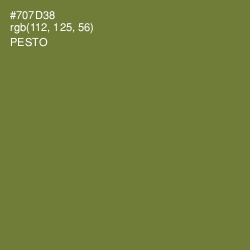 #707D38 - Pesto Color Image