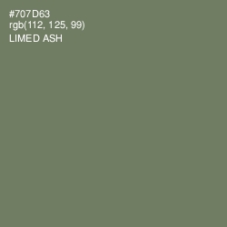 #707D63 - Limed Ash Color Image