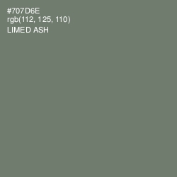 #707D6E - Limed Ash Color Image