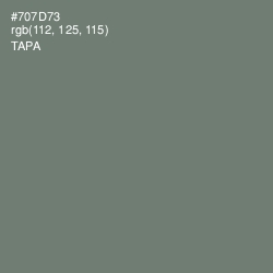 #707D73 - Tapa Color Image