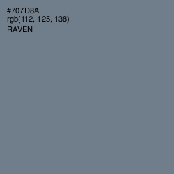 #707D8A - Raven Color Image