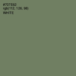 #707E62 - Limed Ash Color Image