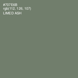 #707E6B - Limed Ash Color Image