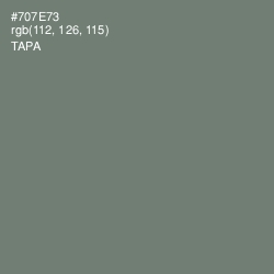 #707E73 - Tapa Color Image