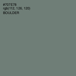 #707E78 - Boulder Color Image