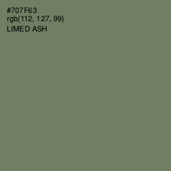 #707F63 - Limed Ash Color Image