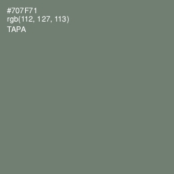 #707F71 - Tapa Color Image