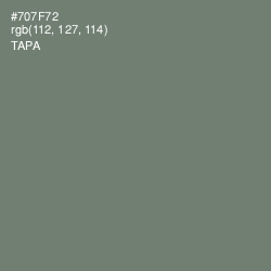 #707F72 - Tapa Color Image