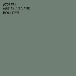 #707F74 - Boulder Color Image