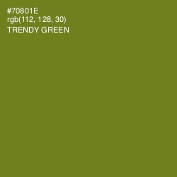 #70801E - Trendy Green Color Image