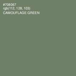 #708067 - Camouflage Green Color Image