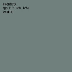 #70807D - Xanadu Color Image