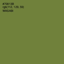 #70813B - Wasabi Color Image