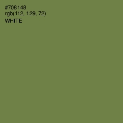 #708148 - Glade Green Color Image