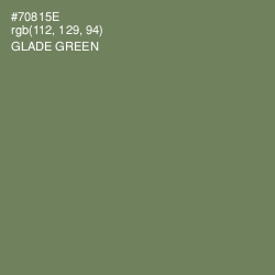 #70815E - Glade Green Color Image