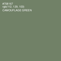 #708167 - Camouflage Green Color Image