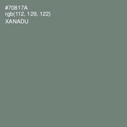 #70817A - Xanadu Color Image