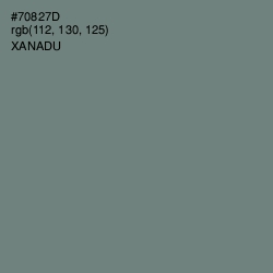 #70827D - Xanadu Color Image