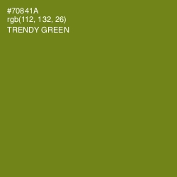 #70841A - Trendy Green Color Image