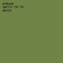 #708448 - Glade Green Color Image