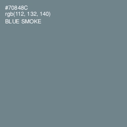 #70848C - Blue Smoke Color Image